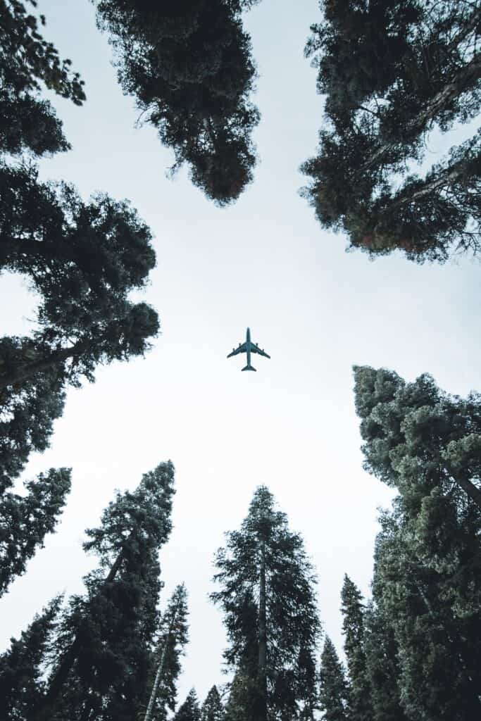 aereo tra gli alberi